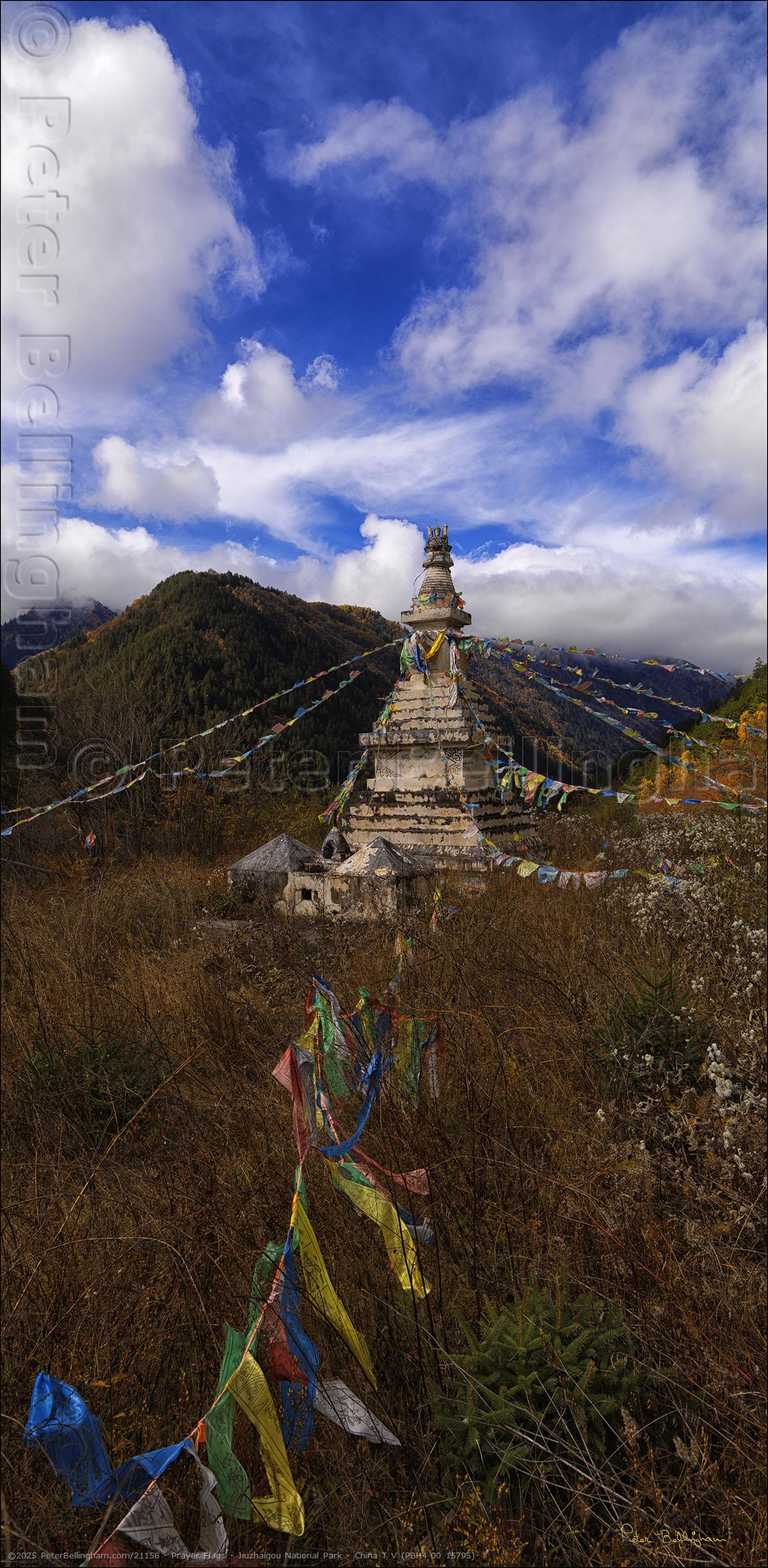 Peter Bellingham Photography Prayer Flags - Jiuzhaigou National Park - China T V (PBH4 00 15795)